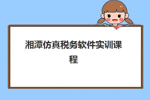 湘潭仿真税务软件实训课程辅导机构选择指南：2025年最新机构对比与择校攻略