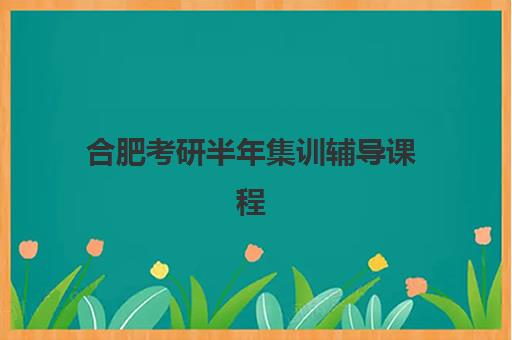 合肥考研半年集训辅导课程辅导机构哪家强一点？2025年最新实力对比与择校指南