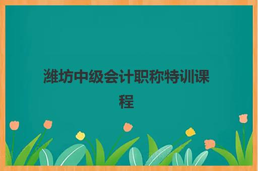 潍坊中级会计职称特训课程哪家强？2025年优路、奇正、众询机构课程对比与选择指南