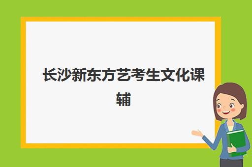 哈尔滨311考研集训营辅导班有哪些学校可以报？2025年最新排名与择校全攻略