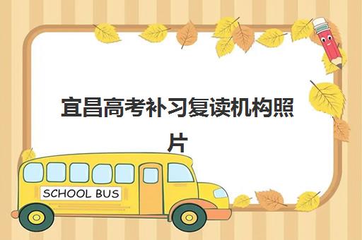 2025戴氏教育一对一收费价格表最新解析：各年级费用详情、班型对比与性价比选择指南